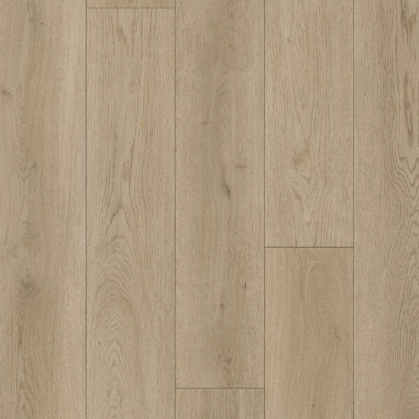 AS Stormy Room DS102 scaled Apex Monza swatch