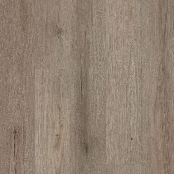 AS Stormy Room DS102 scaled Apex Suzuka swatch